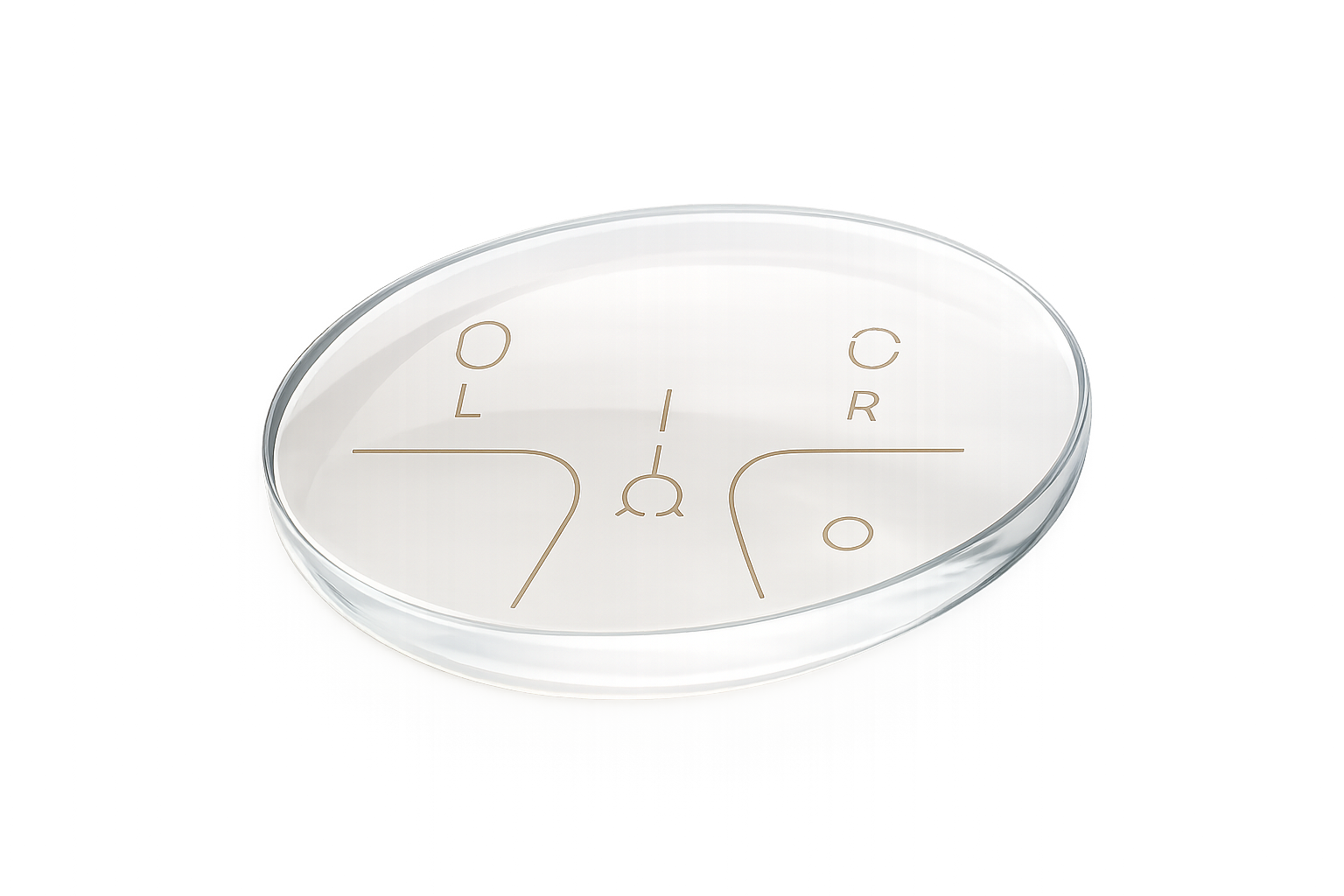 Verres progressifs